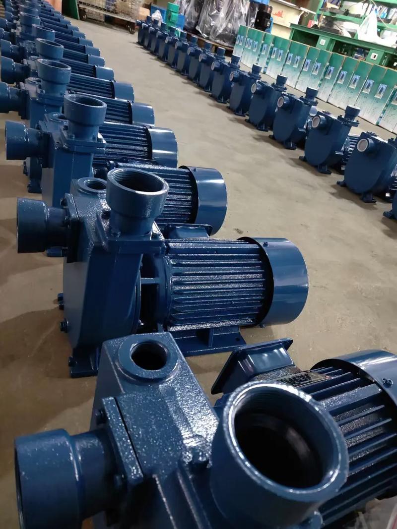 自吸泵通上电,只嗡嗡响叶轮不转怎么回事